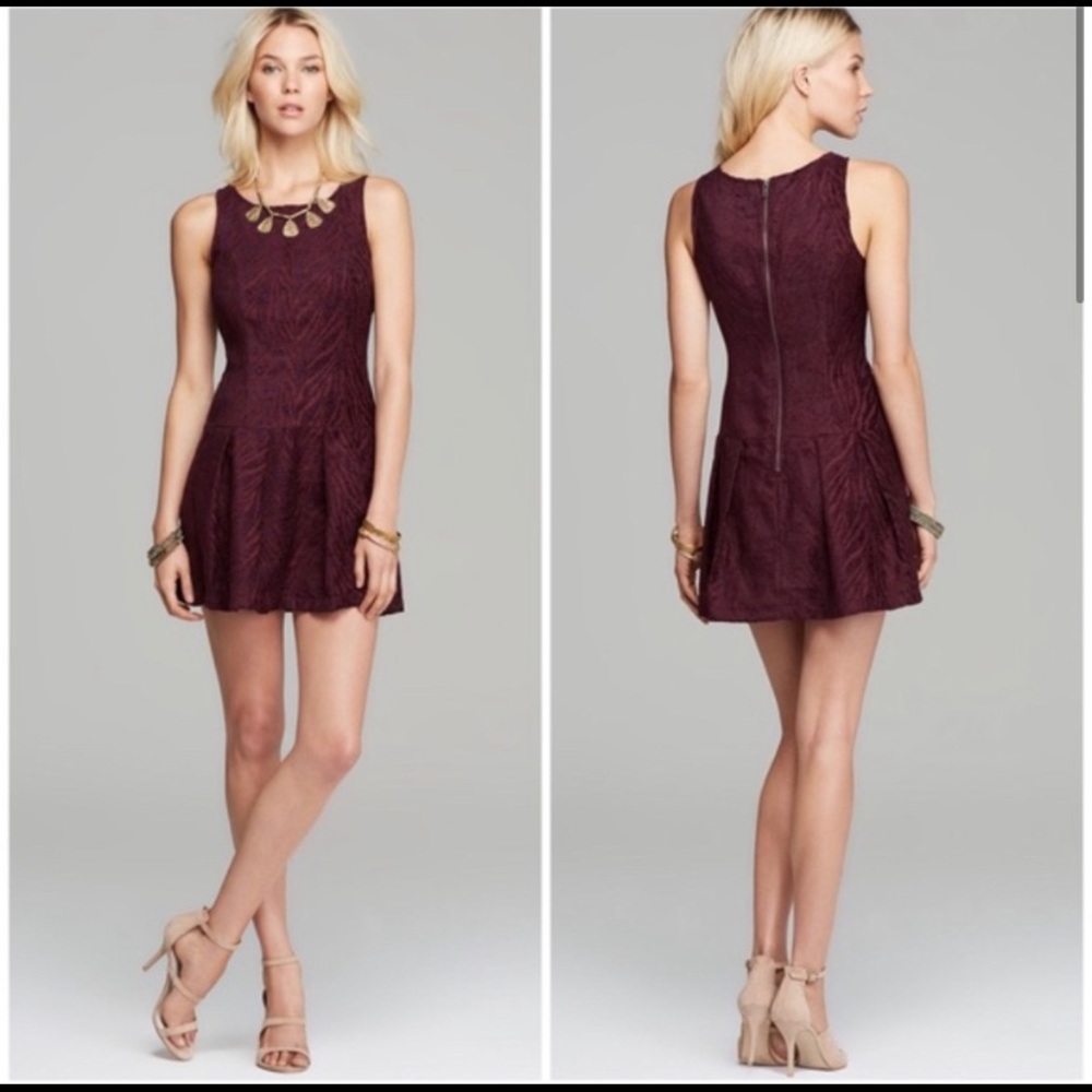 Free People Wine Chenille Zebra Print Dress NWT